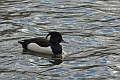 15 03 00_0841_edited-1